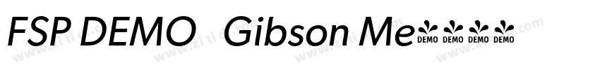 FSP DEMO   Gibson Me字体转换